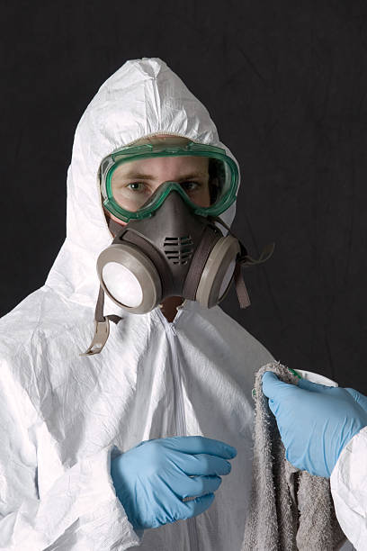 Asbestos and Lead Testing During Mold Inspection in Eureka, MO